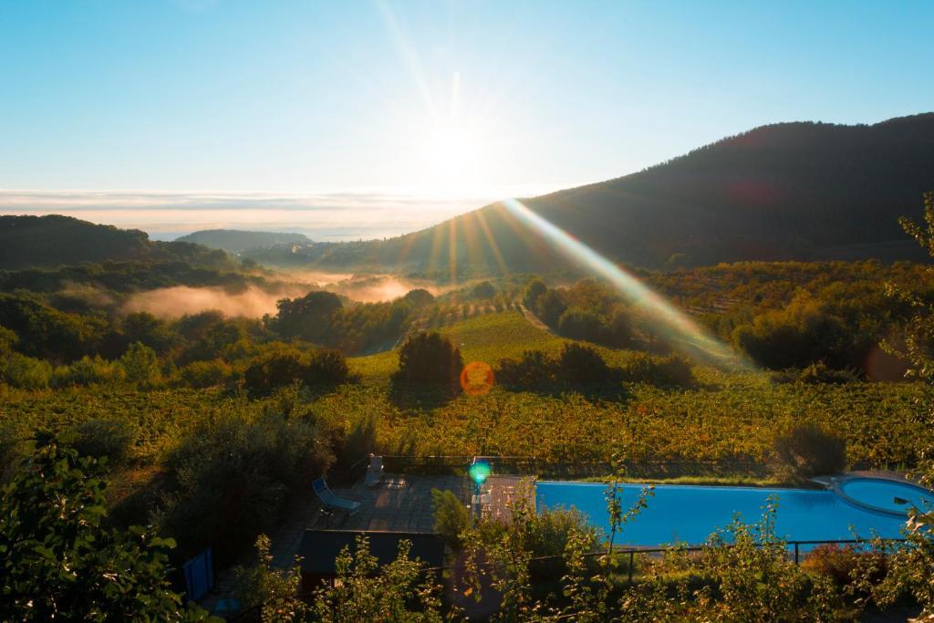 Agriturismo Il Serraglio Montepulciano Stazione Exteriér fotografie